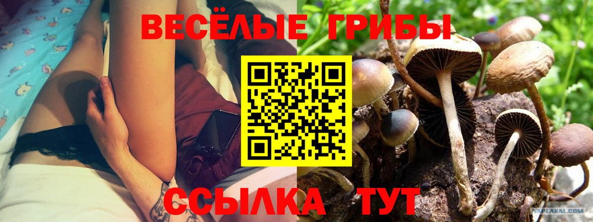 Псилоцибиновые грибы Psilocybine cubensis  Вход с VPN  Жигулёвск 