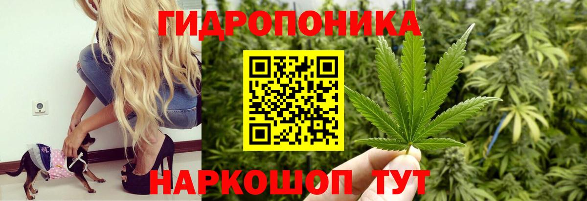 Бошки марихуана THC 21% Жигулёвск